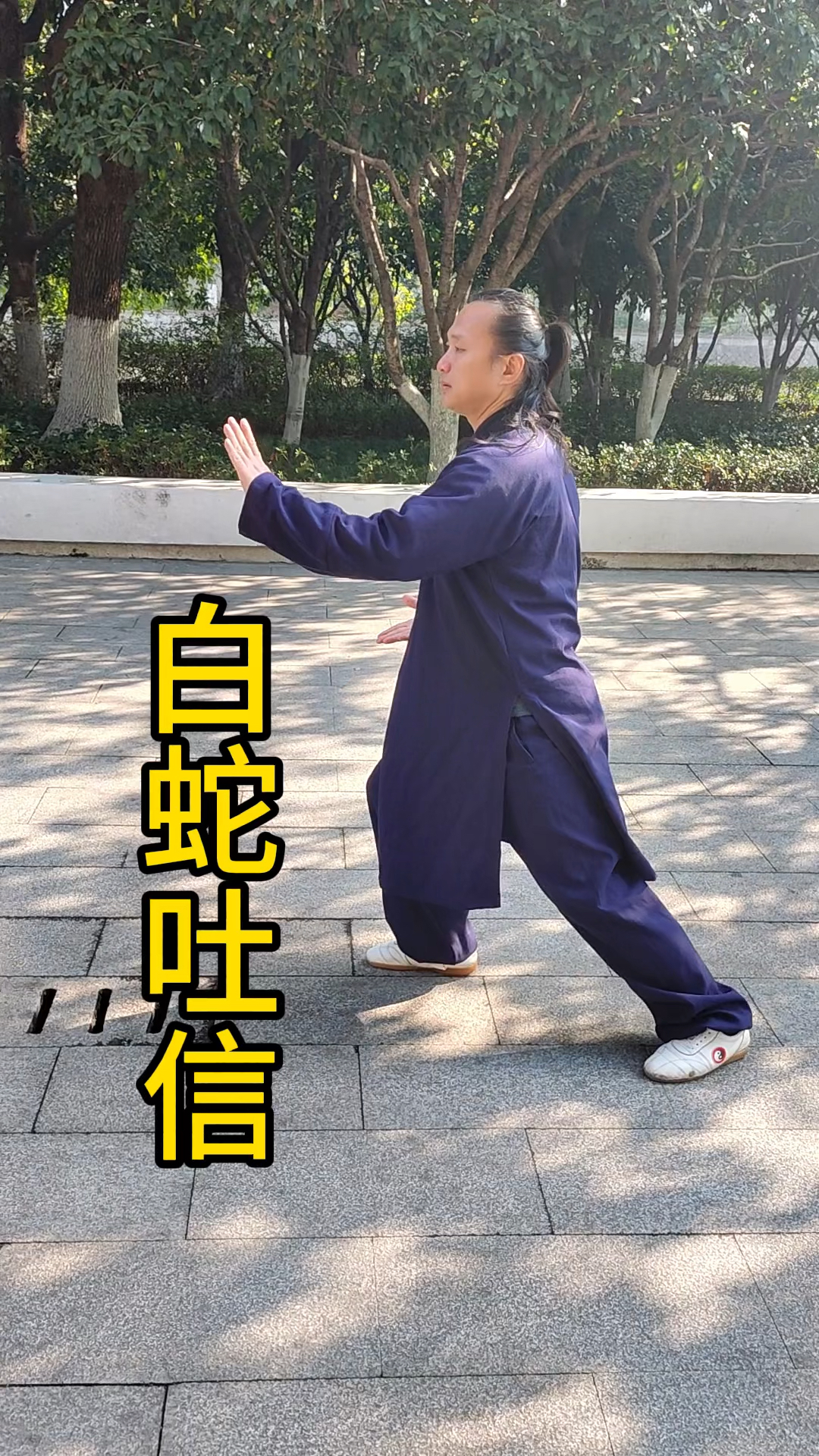 太极敦程的简单介绍